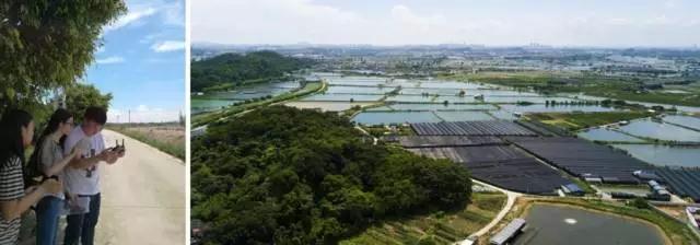 古天乐代言太阳集团网址