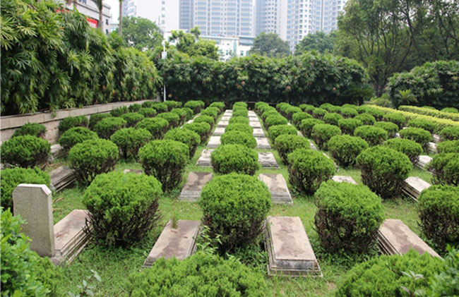 古天乐代言太阳集团网址