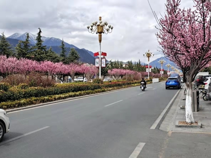 古天乐代言太阳集团网址