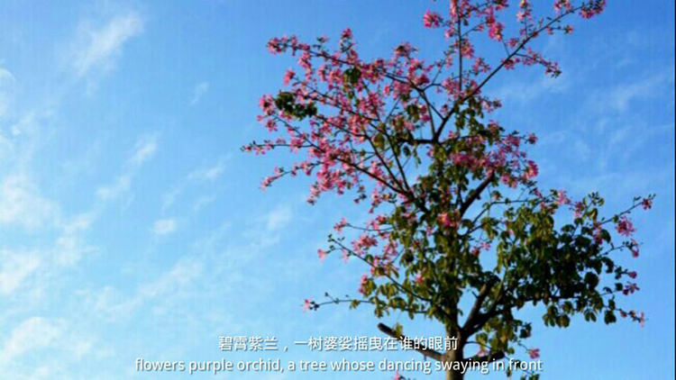 古天乐代言太阳集团网址