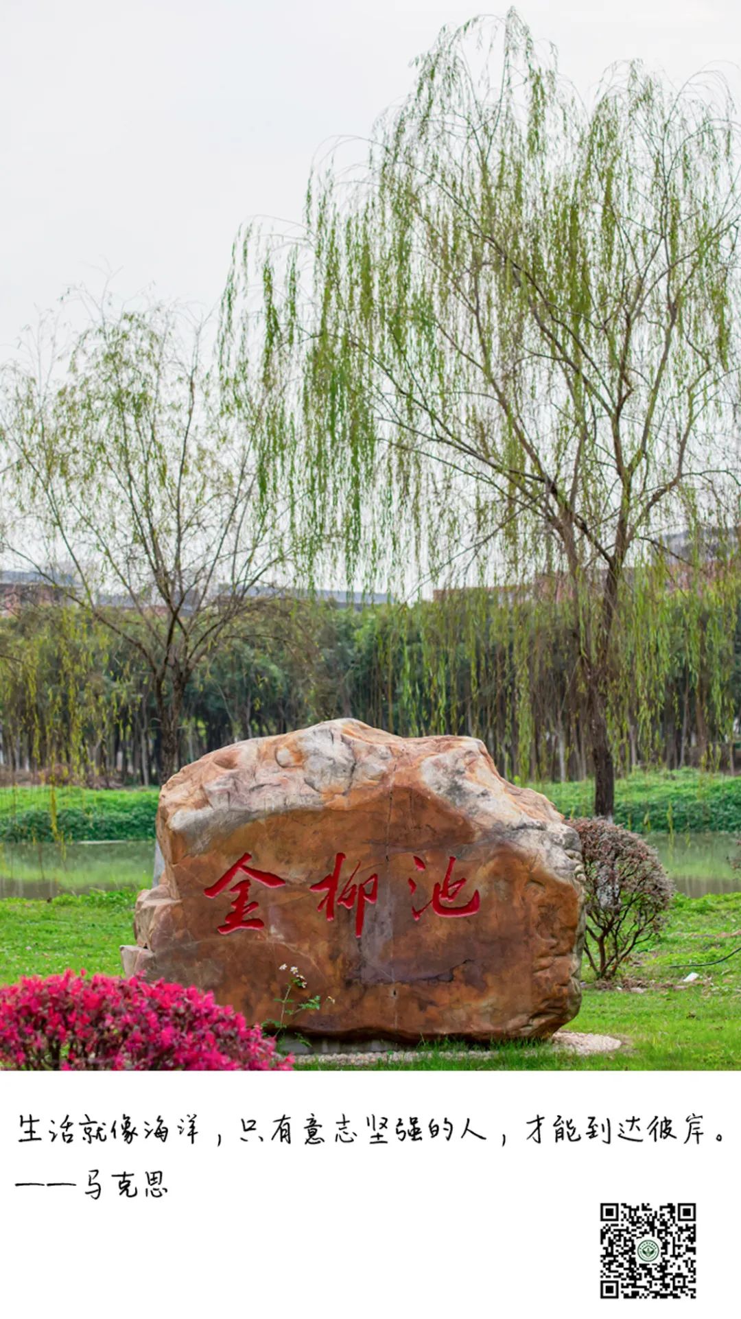 古天乐代言太阳集团网址