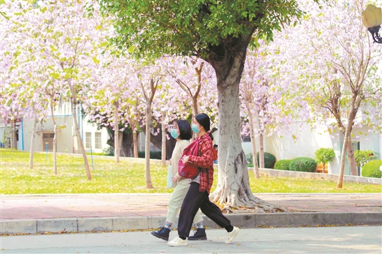 古天乐代言太阳集团网址