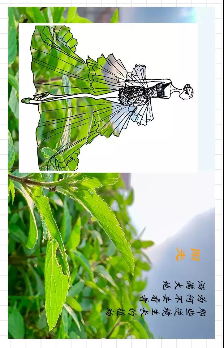 古天乐代言太阳集团网址