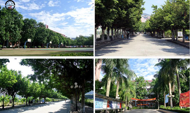 古天乐代言太阳集团网址