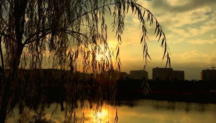 古天乐代言太阳集团网址