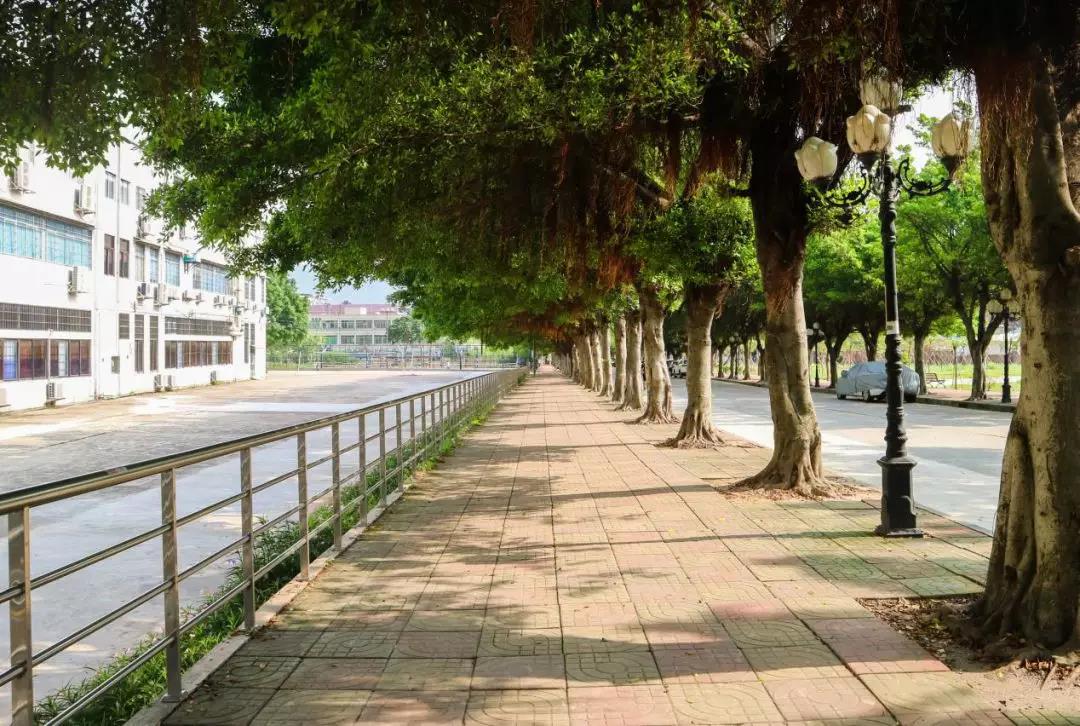 古天乐代言太阳集团网址