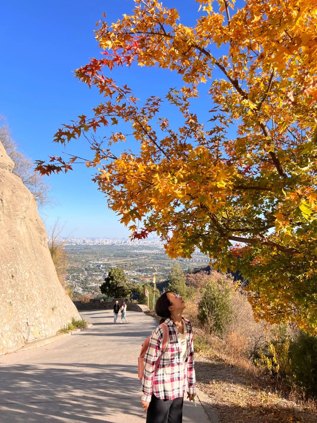 古天乐代言太阳集团网址