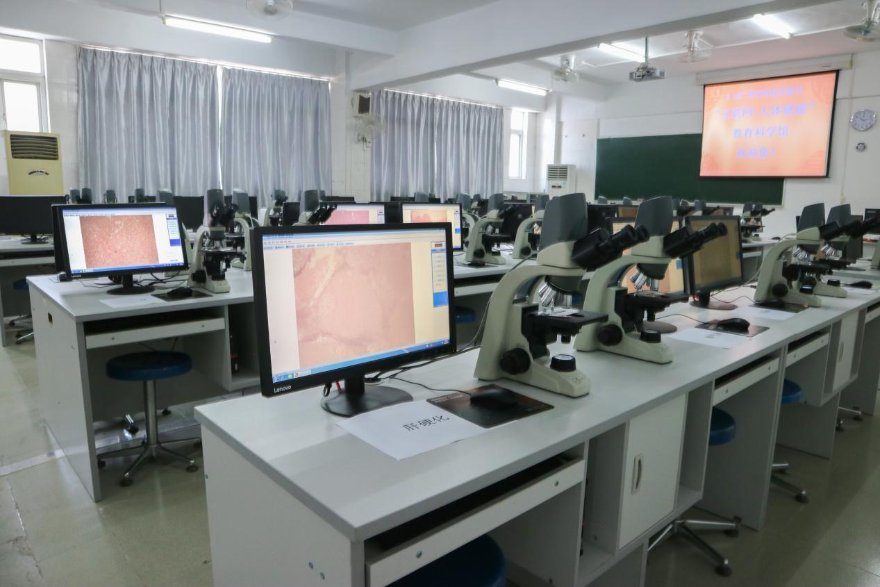 古天乐代言太阳集团网址