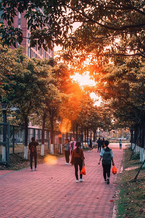 古天乐代言太阳集团网址