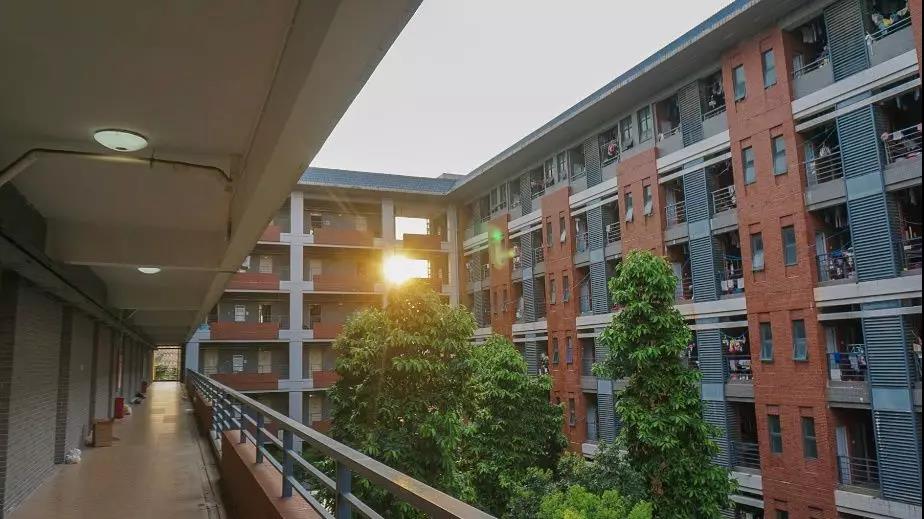 古天乐代言太阳集团网址