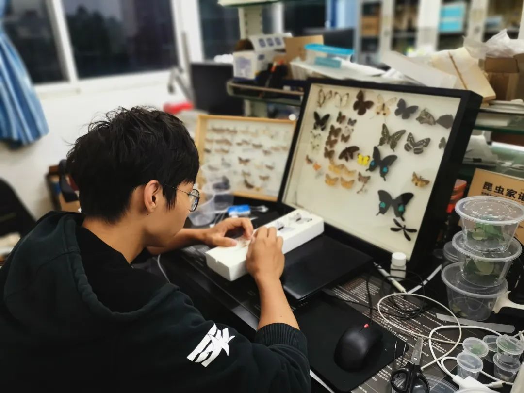 古天乐代言太阳集团网址