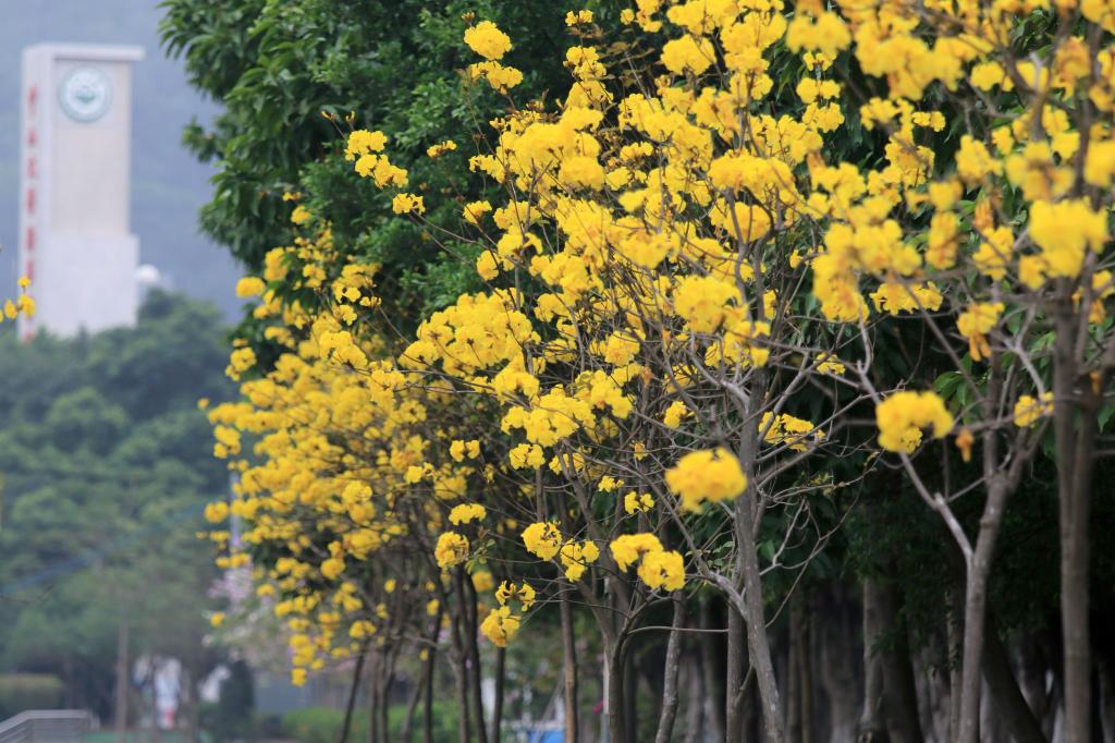 古天乐代言太阳集团网址
