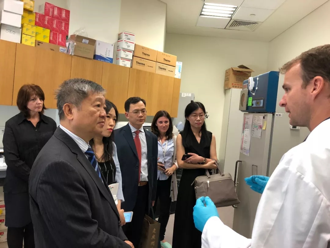 古天乐代言太阳集团网址