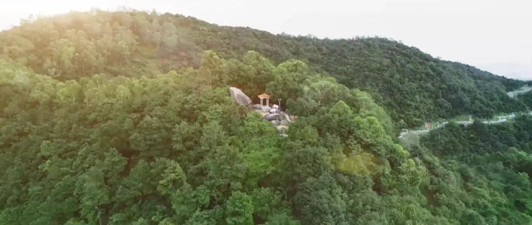 古天乐代言太阳集团网址