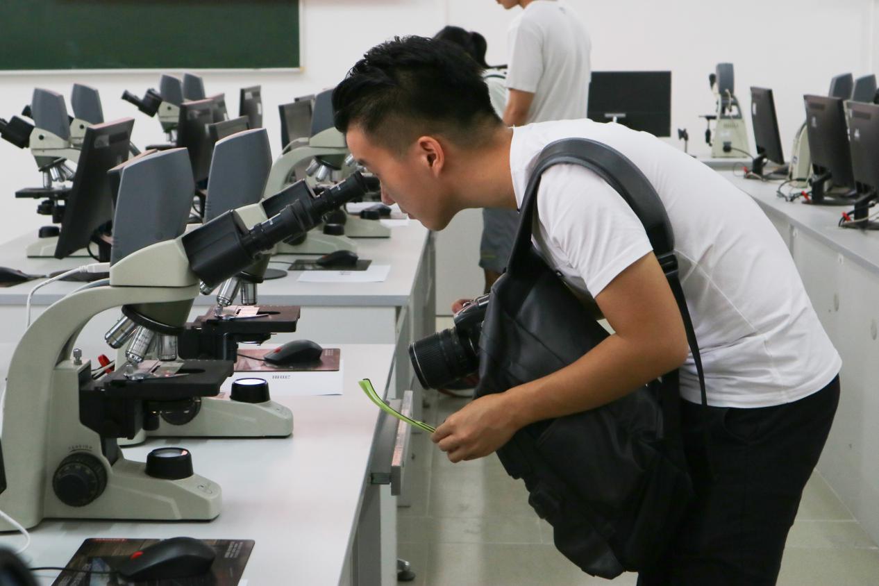 古天乐代言太阳集团网址