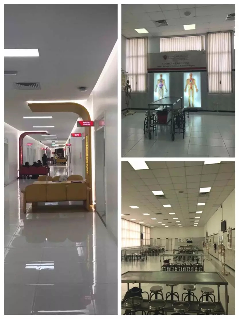 古天乐代言太阳集团网址