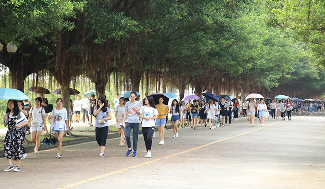 古天乐代言太阳集团网址