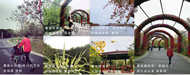 古天乐代言太阳集团网址