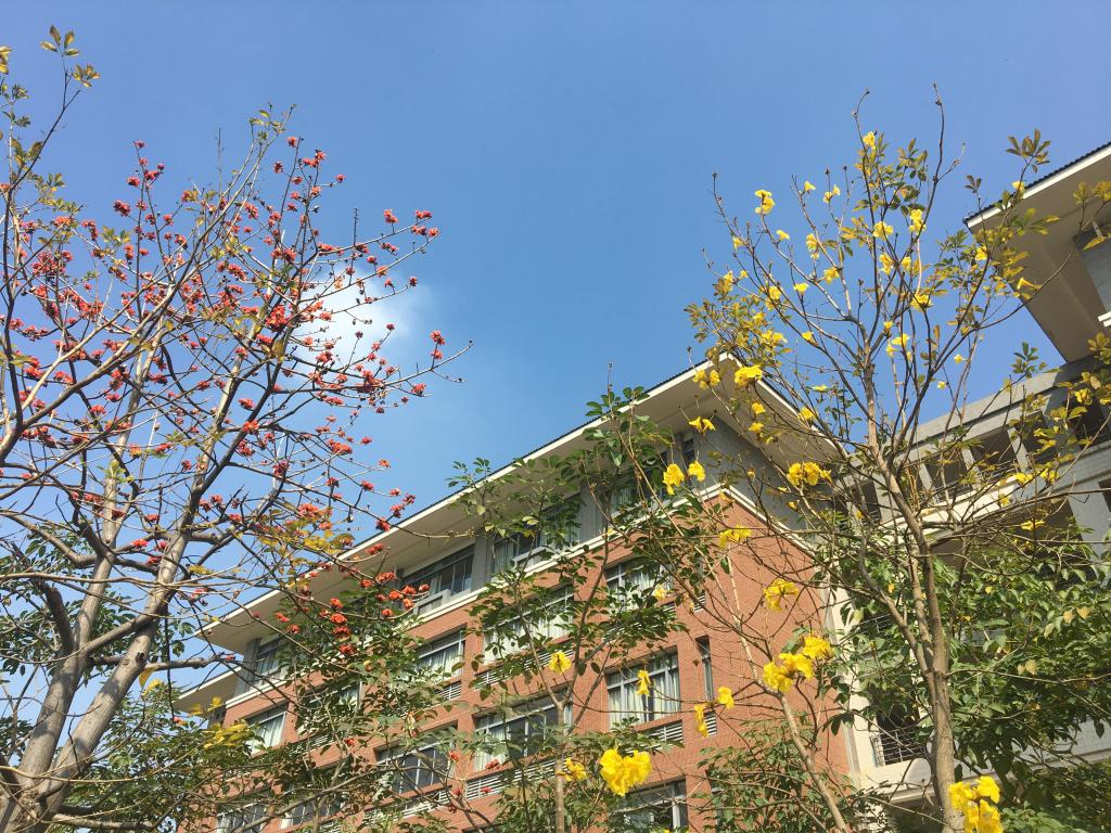 古天乐代言太阳集团网址