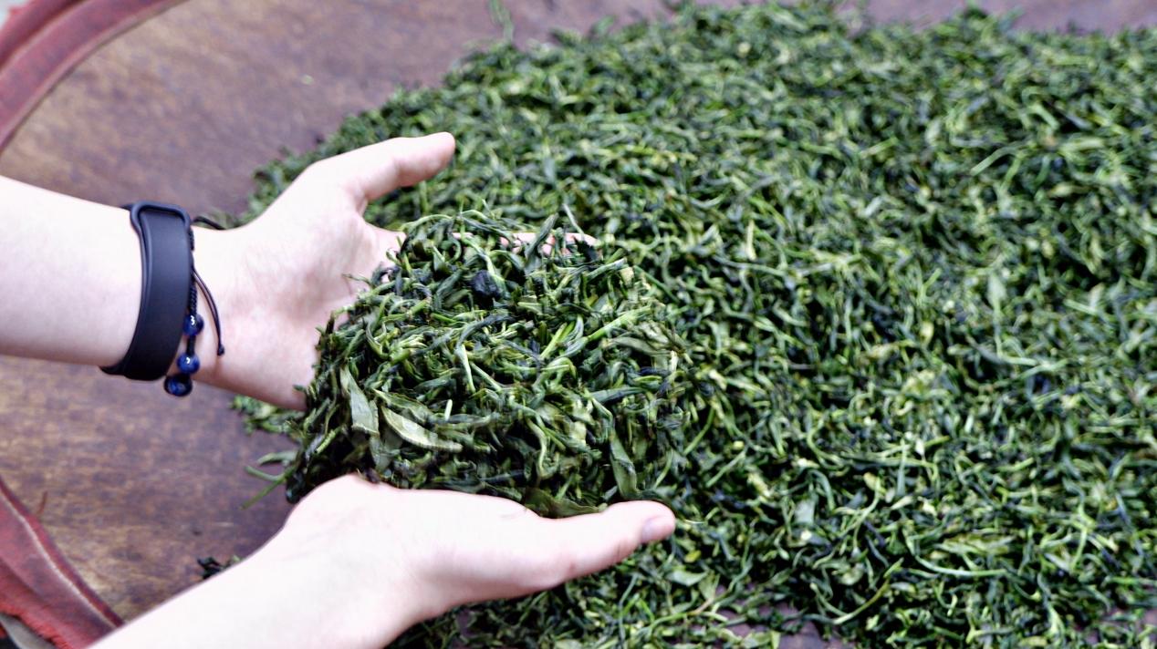 古天乐代言太阳集团网址