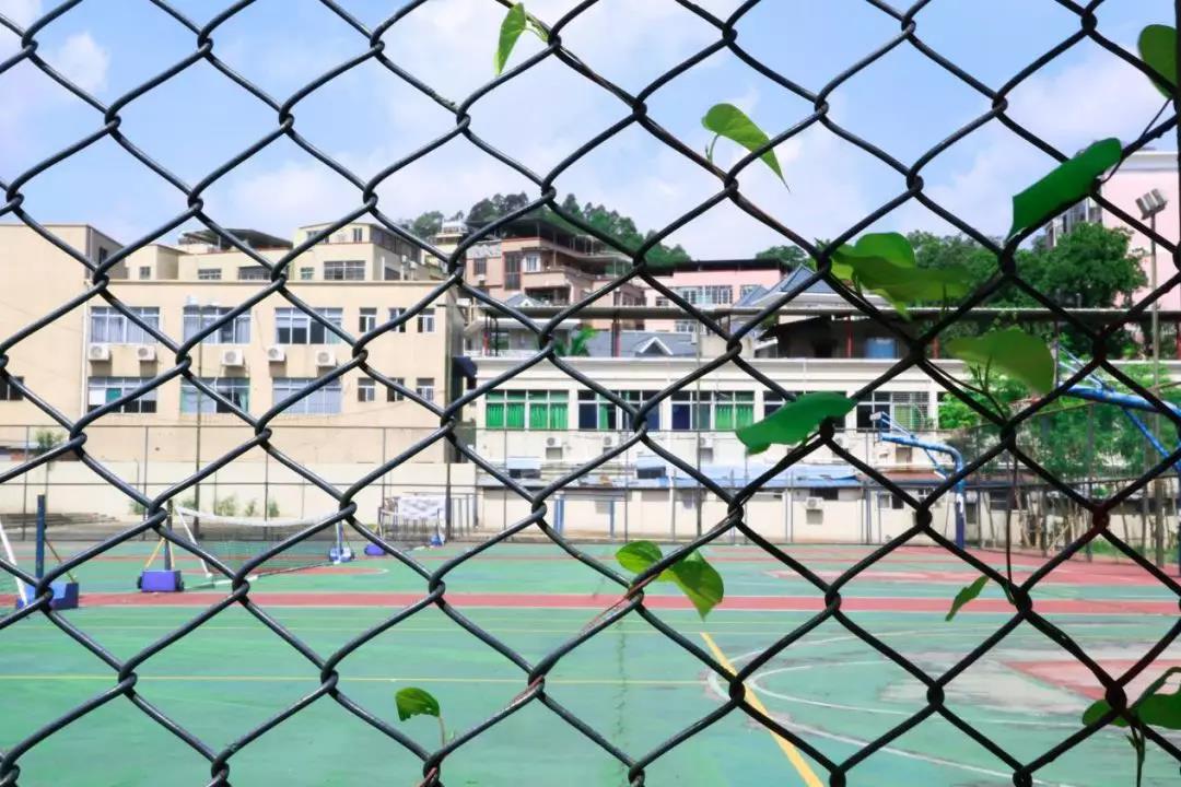 古天乐代言太阳集团网址